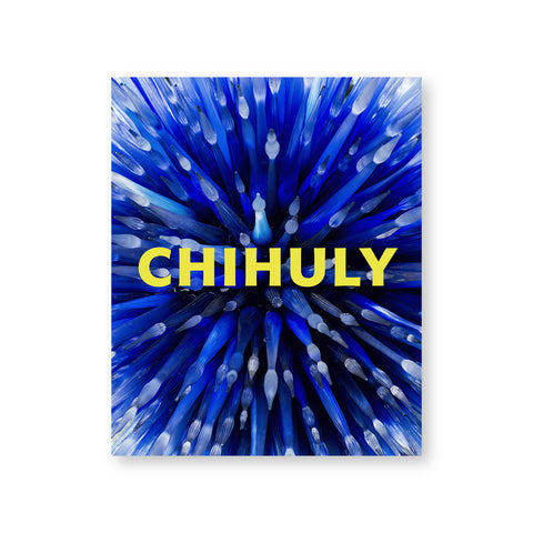 Book cover with glass sculpture of elongated blue and white forms bursting in lines from center. Title in thick yellow letters in the center