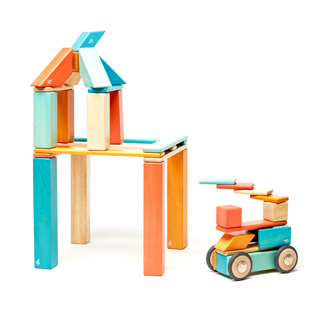 Tegu block set store