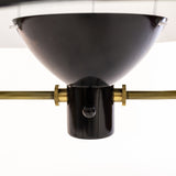 Anywhere Lamp