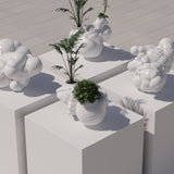 Forma_02 Symbiotic Planter Large