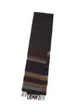Striped scarf with fringes on a white background