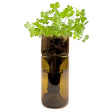Cut in two parts wine bottle inserted one inside another, allowing for parsley to grow on the top. 
