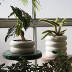 A photograph showing the short and tall variations of the Stacking planter. Each sitting on small tables, the short version holds a leafy green plant and the tall version a cactus plant. Leaves from other plants are in the foreground.
