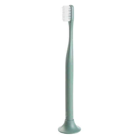 Pale green toothbrush with matching color, round shaped stand.