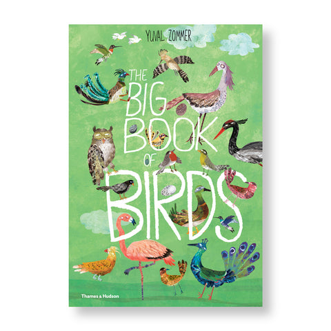 Book cover with illustration of many colorful birds around the hand drawn white title in front a green sky