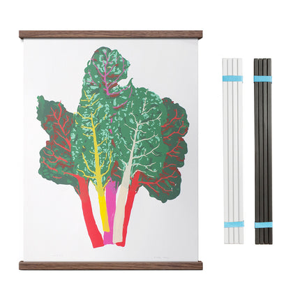 Pair of magnetic sticks in wood display a poster with a graphic image of green lectures with a white background. Two sets in black and white colors are visible on the left side. 